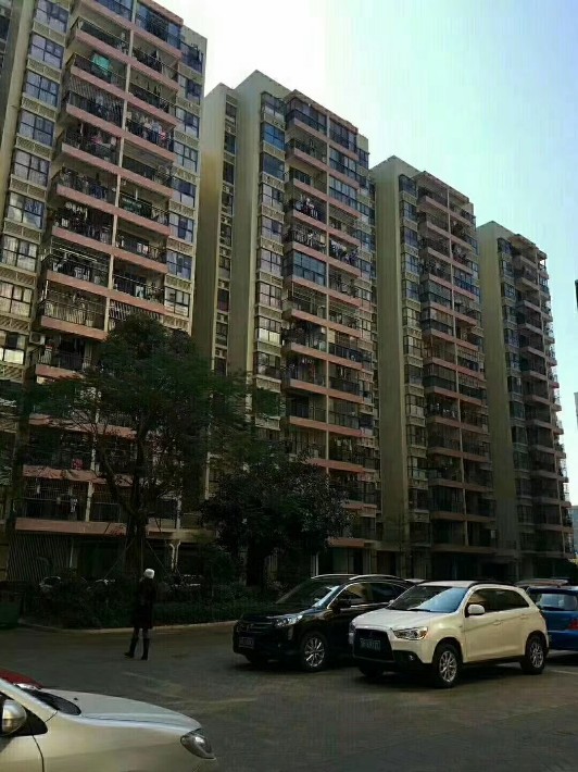 福永塘尾一帶還冒出頂級優質的小產權房