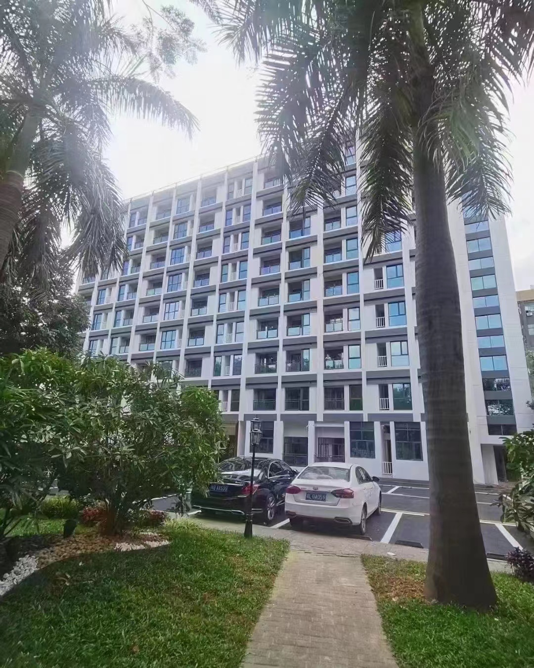 幸福*陽(yáng)光里