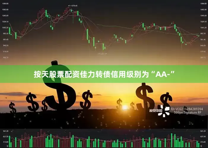 按天股票配资佳力转债信用级别为“AA-”