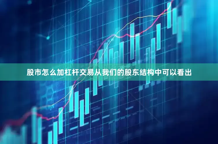 股市怎么加杠杆交易从我们的股东结构中可以看出
