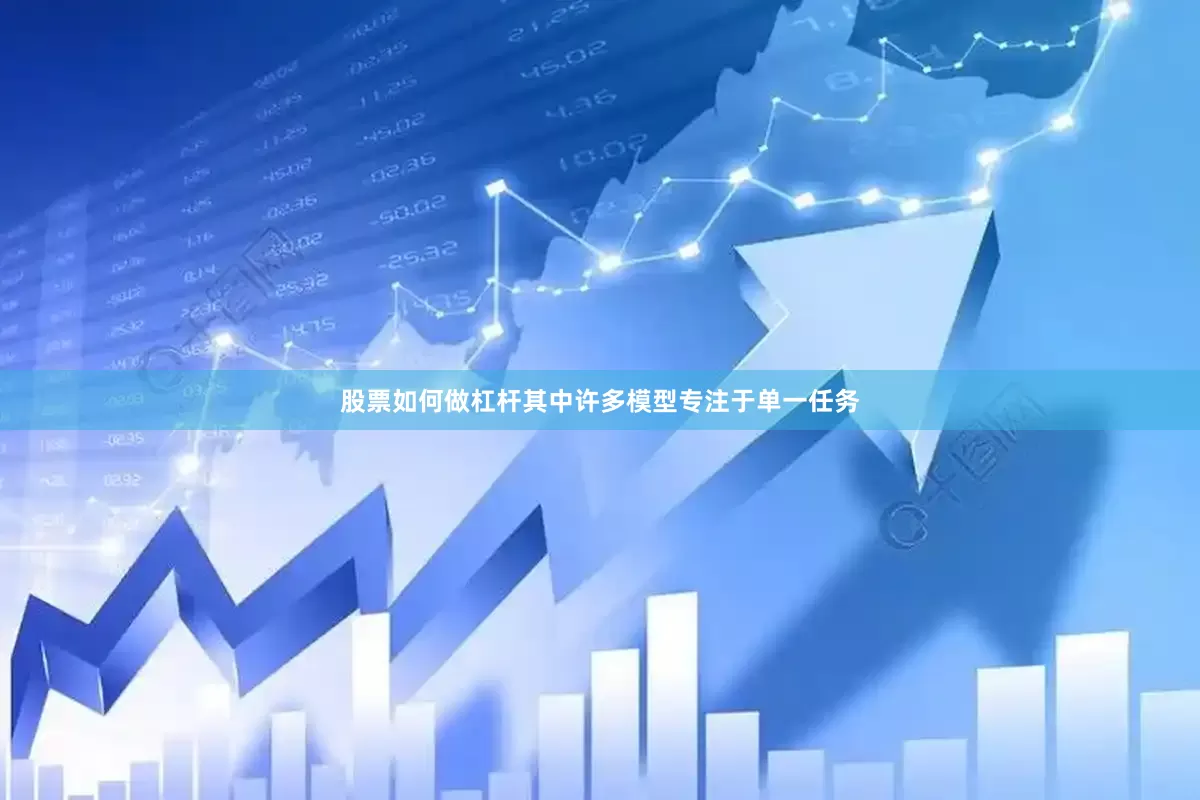 股票如何做杠杆其中许多模型专注于单一任务