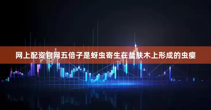 网上配资官网五倍子是蚜虫寄生在盐肤木上形成的虫瘿